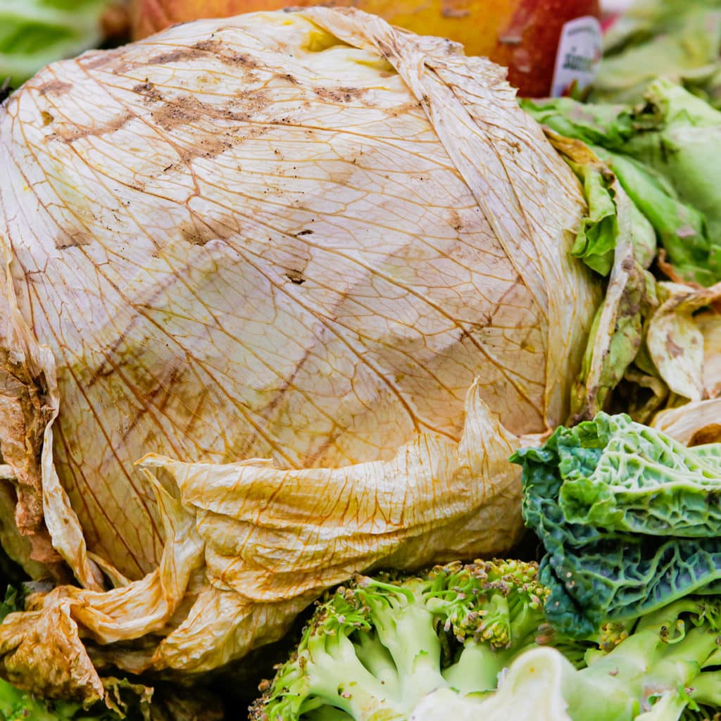 Unter äußeren Einflüssen wie Luft wird Salat mit der Zeit welk und braun.