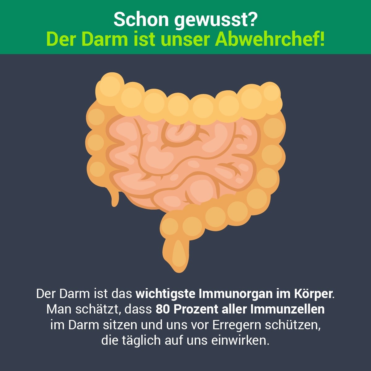 Darmgesundheit 1