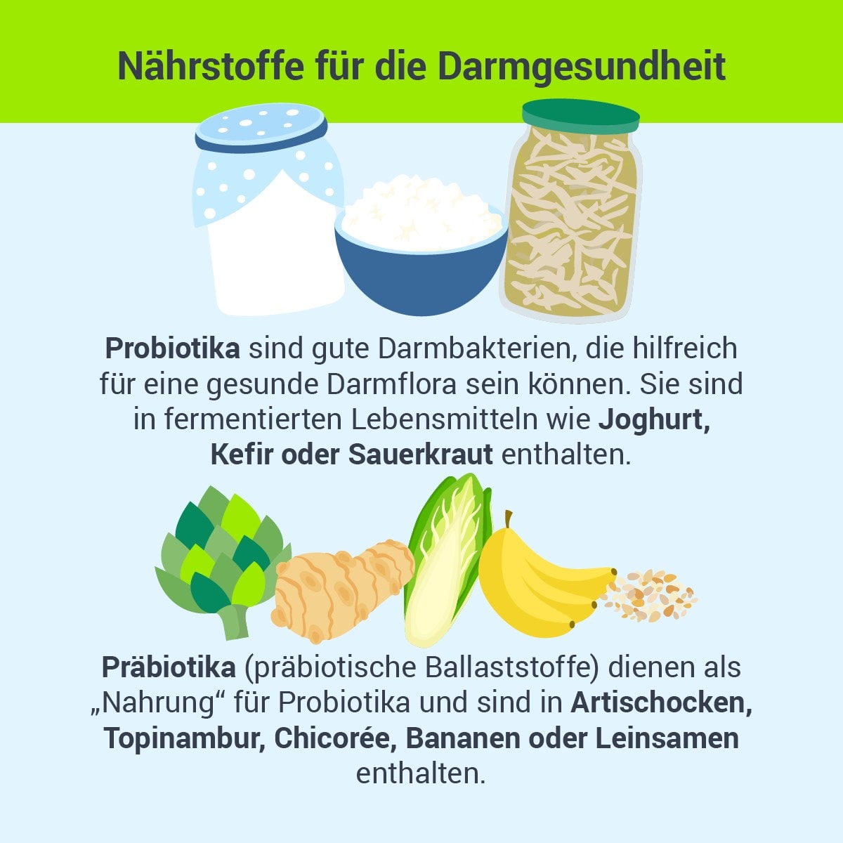 Darmgesundheit 4