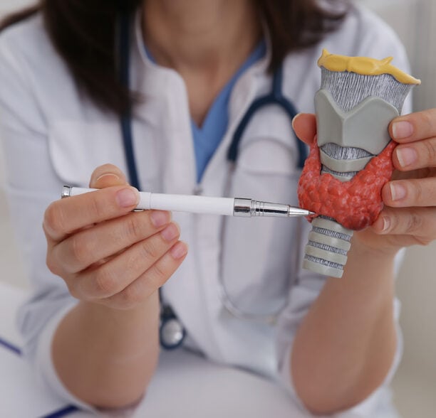 Eine Ärztin zeigt ein Schilddrüsenmodel
