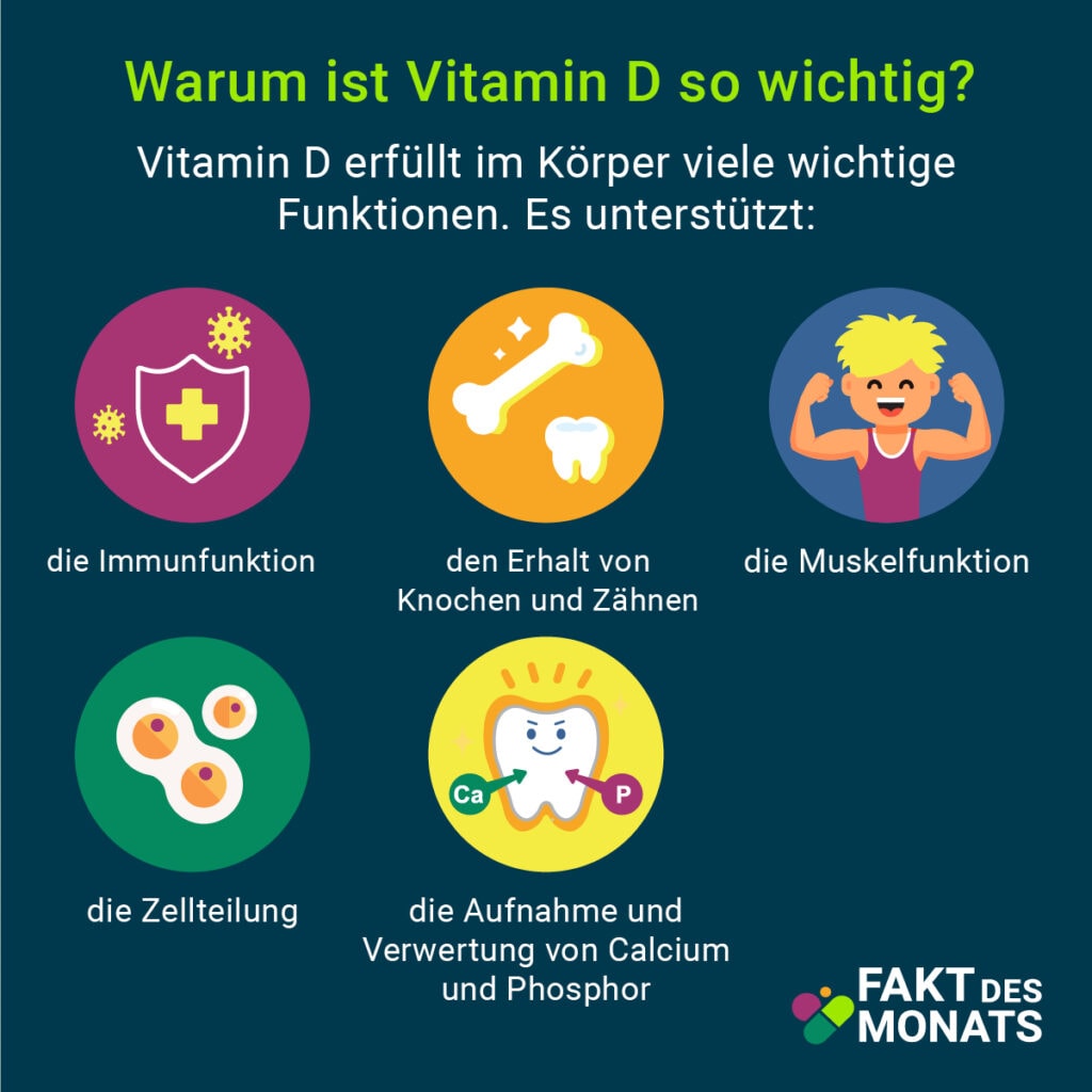 LMVD AKNEM Fakt 1 VIT D6