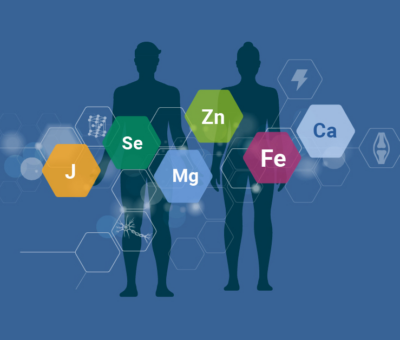 FOKUS Wissenschaft, Ausgabe 4/2024