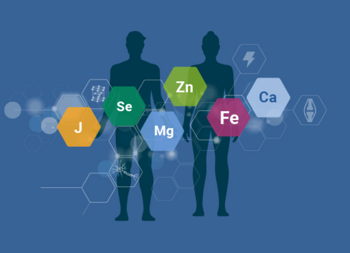 FOKUS Wissenschaft, Ausgabe 4/2024