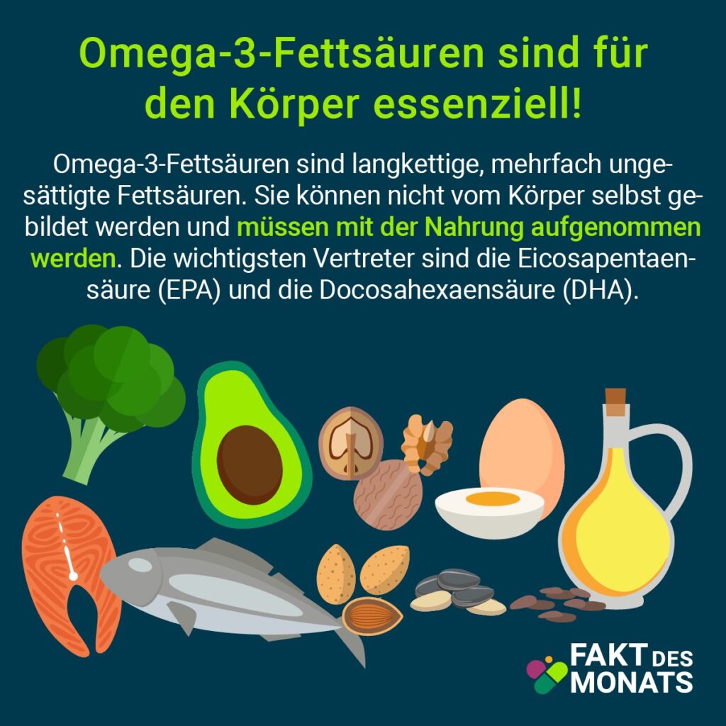 Fakt des Monats Omega 3 2 NEU