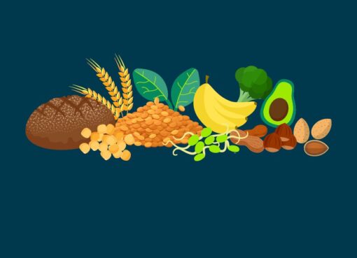 Fakt des Monats: vegane Ernährung und Proteine
