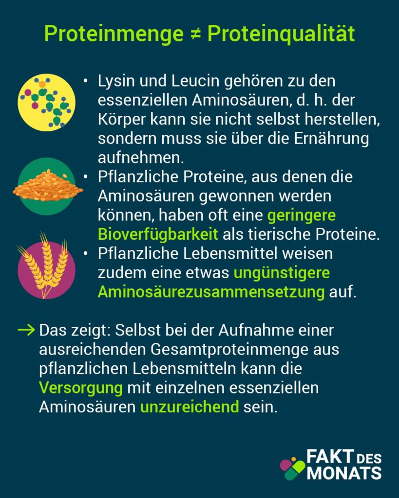 Fakt des Monats Juni 04