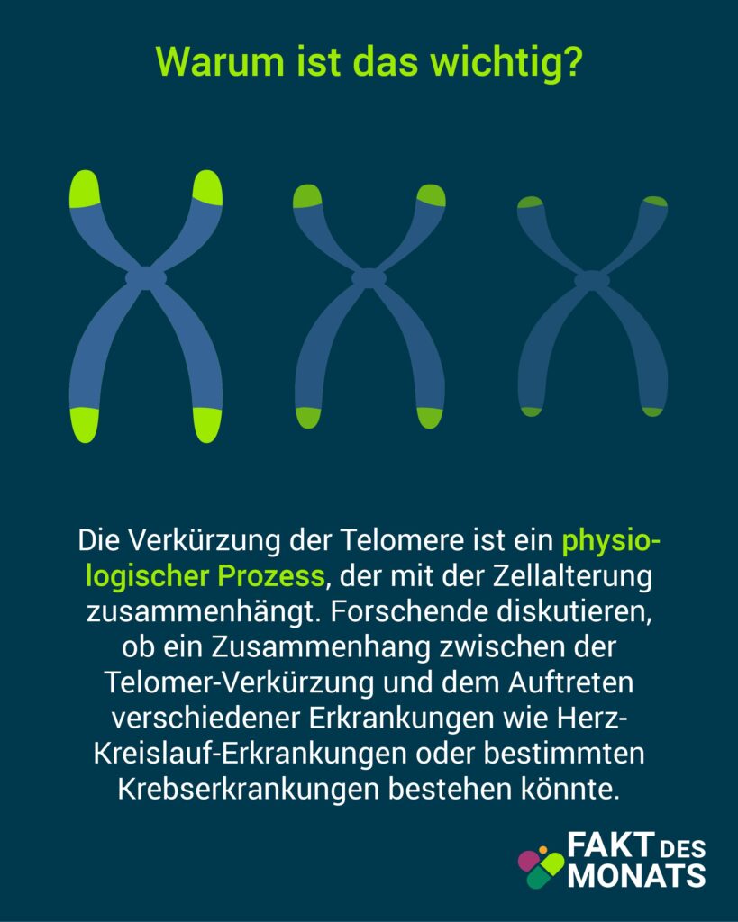 Fakt des Monats Oktober Telomere 3