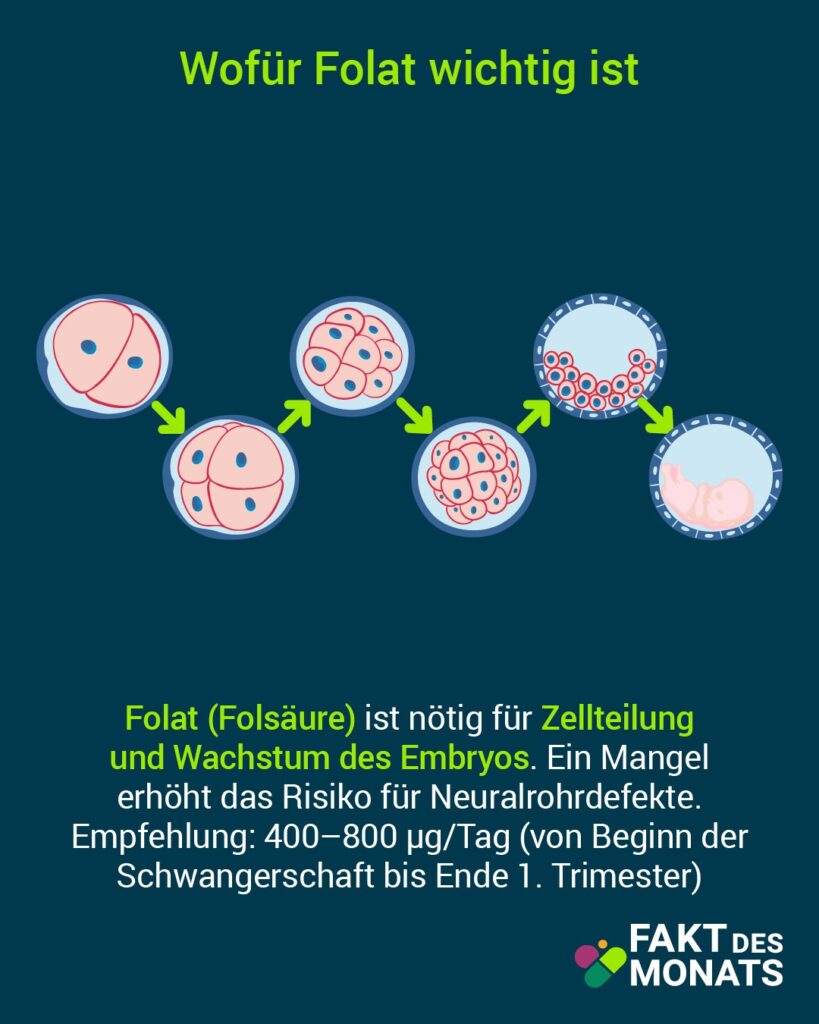 Fakt des Monats: Folat und Jod – Ernährungsverhalten von Schwangeren in Deutschland lückenhaft 1 Bild 2