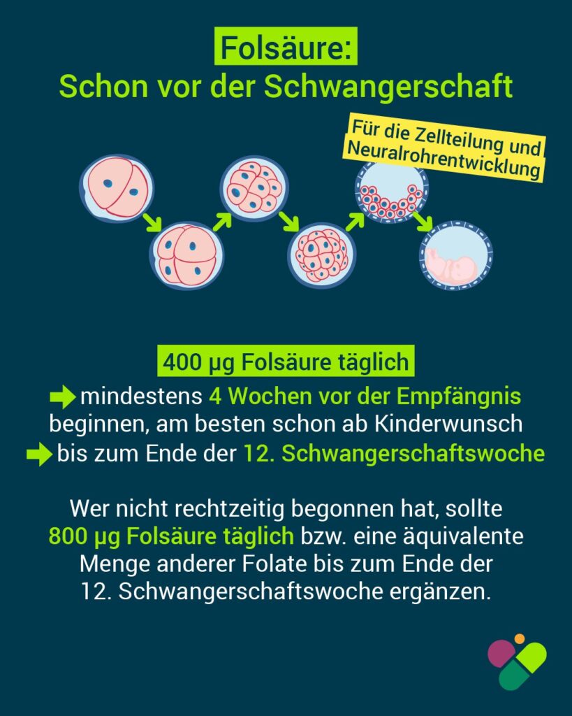 Fakt des Monats: Netzwerk Gesund ins Leben veröffentlicht neue Handlungsempfehlungen für Schwangere und Frauen mit Kinderwunsch 3 Infografik Versorgung Schwangere 3
