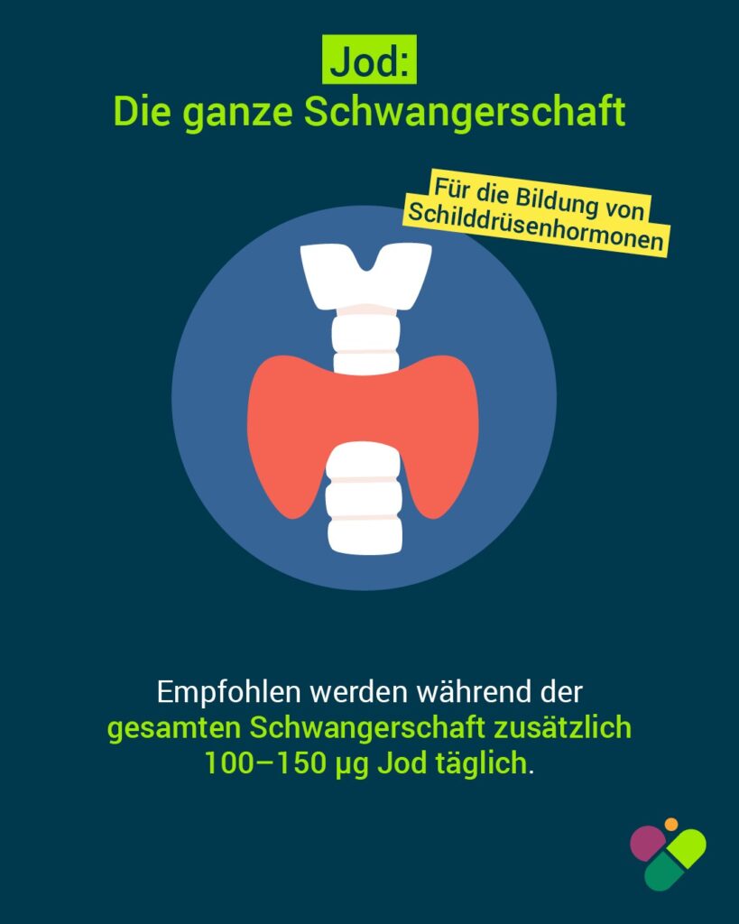 Fakt des Monats: Netzwerk Gesund ins Leben veröffentlicht neue Handlungsempfehlungen für Schwangere und Frauen mit Kinderwunsch 4 Infografik Versorgung Schwangere 4